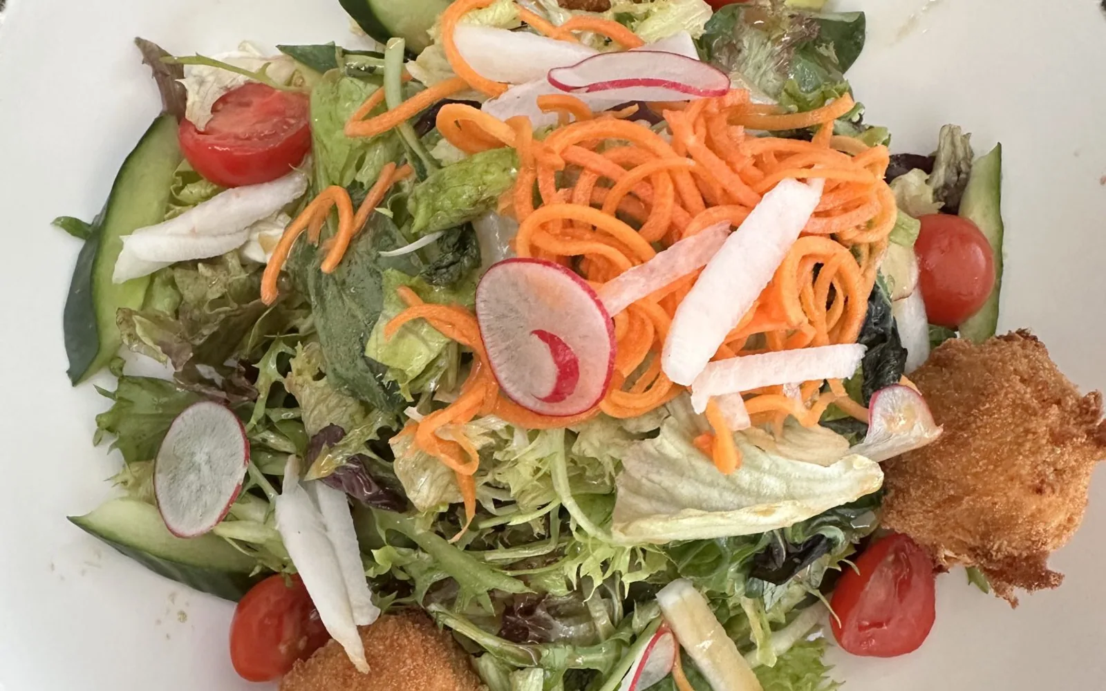 Mixed garden salad with leaves, carrot, radish and tomato